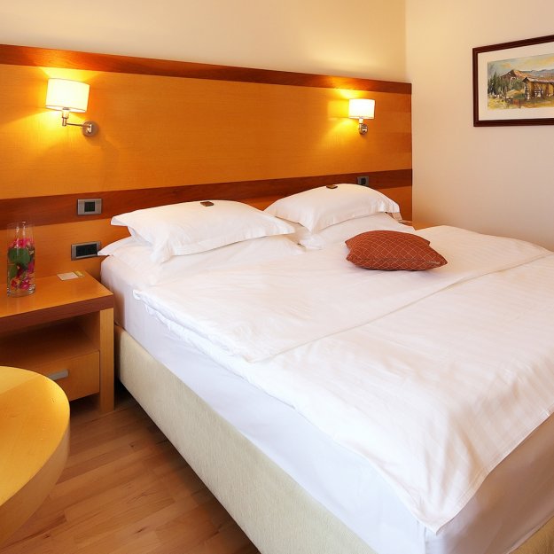 Picture of Hotel Lovec Double room