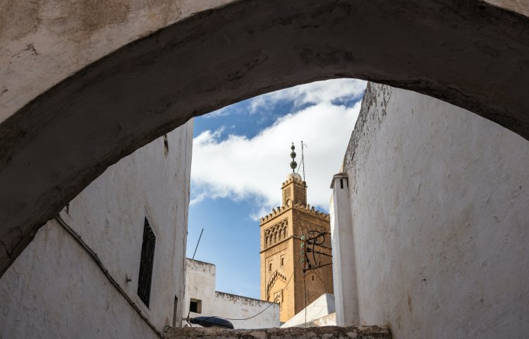 Habous neighborhoods