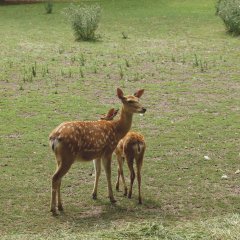 Warmian Wildlife Park