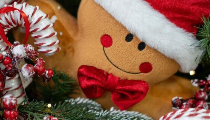 Rodzinne Święta Bożgo Narodzenia