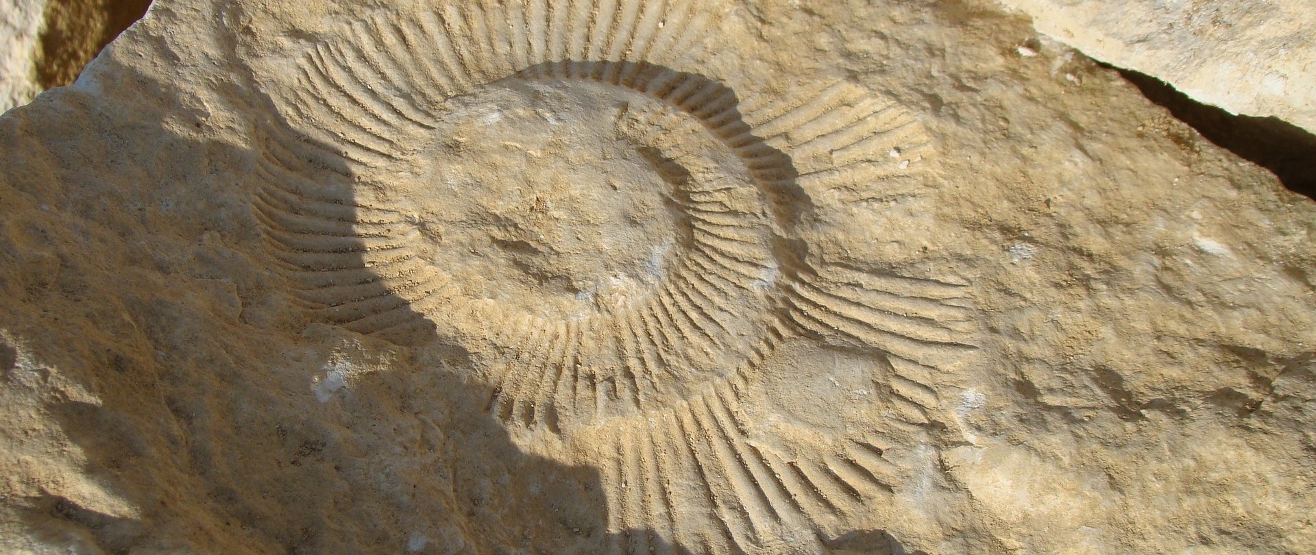 die Spur erloschener Vulkane