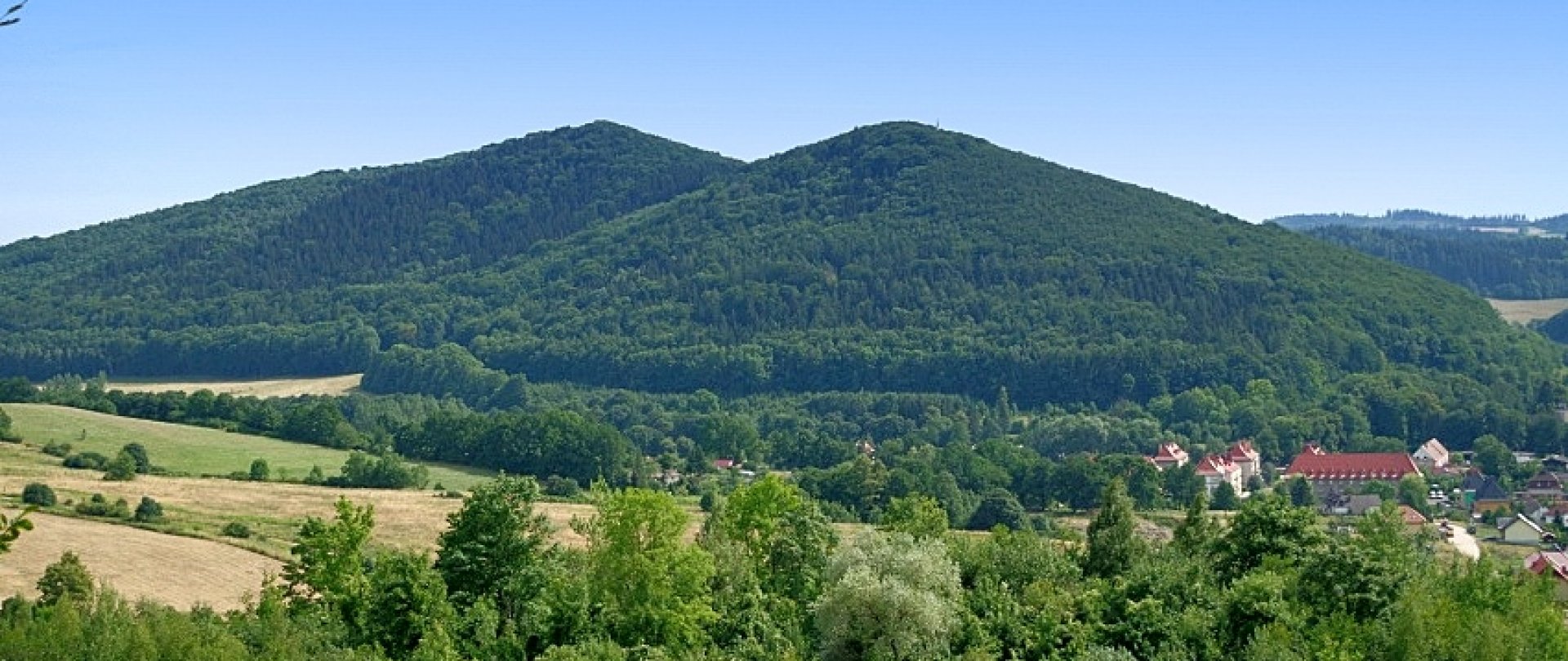 Rezerwat „Góra Miłek”