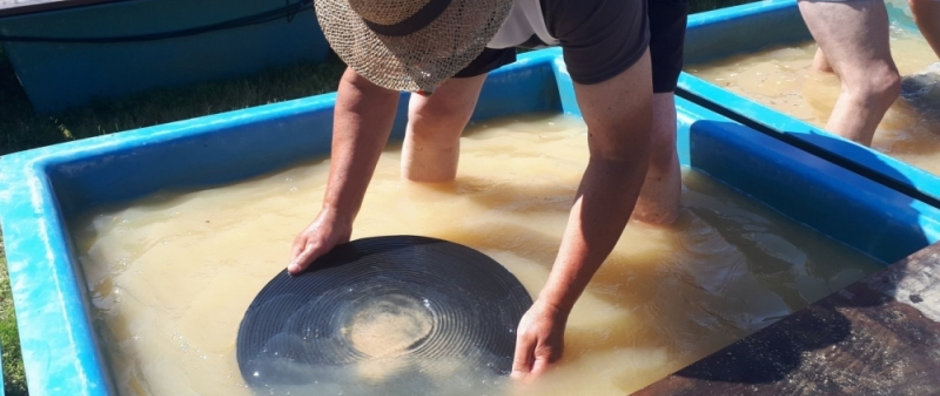 Gold panning