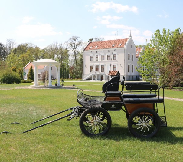 Przejażdżki bryczką