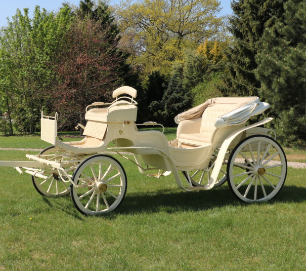 Przejażdżki bryczką