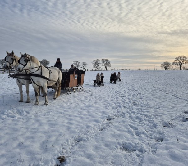 Zimowa Bryczka w Pałacu Mortęgi 