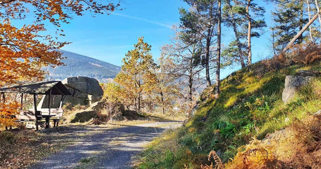 Überprüfen Sie, was Sie während der Tour erwartet: