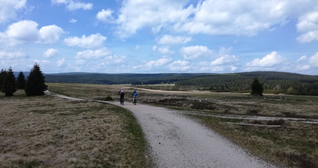 Überprüfen Sie, was Sie während der Tour erwartet: