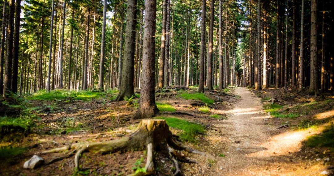 Überprüfen Sie, was Sie während der Tour erwartet: