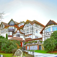 Warsztaty plastyczne dla dzieci