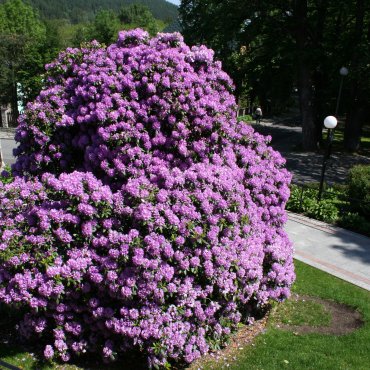 obsługa kelnerska i barmańska bardzo życzliwa