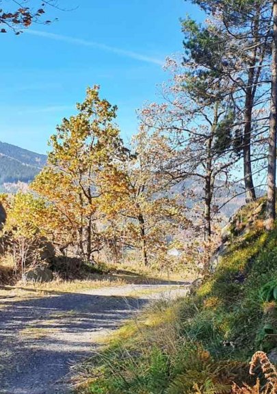 Trips to the Jizera Mountains