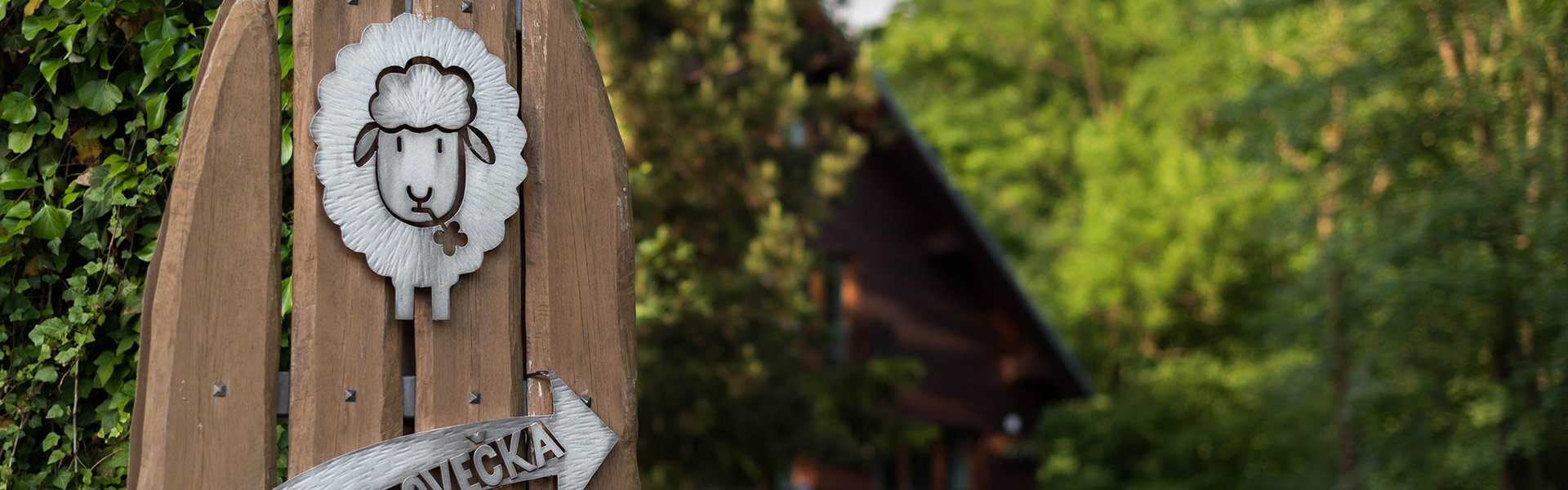 Strona główna - zdjęcie + tekst