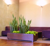 Hotel Rzeszów - Park Hotel Rzeszów ***