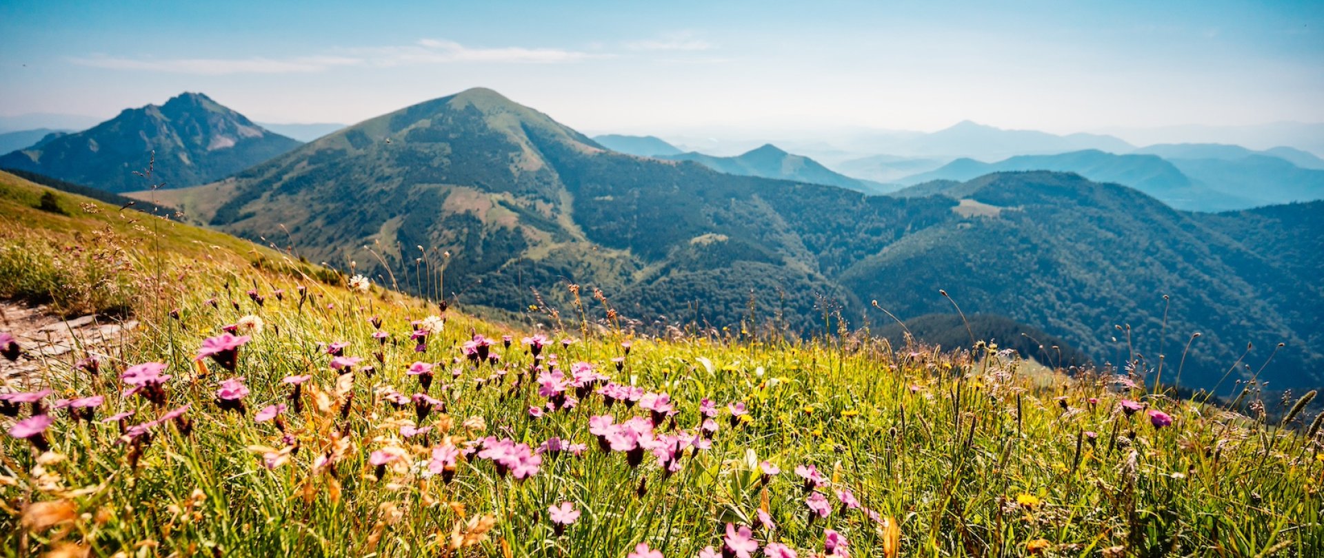 , Białka Tatrzańska