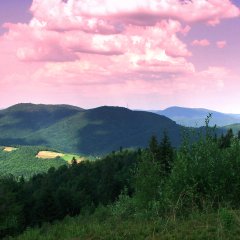 Odkryj Podhale - przygoda i relaks w Bramie Gorców i Pensjonacie Pod Kotelnicą