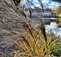 Warsaw Autumn