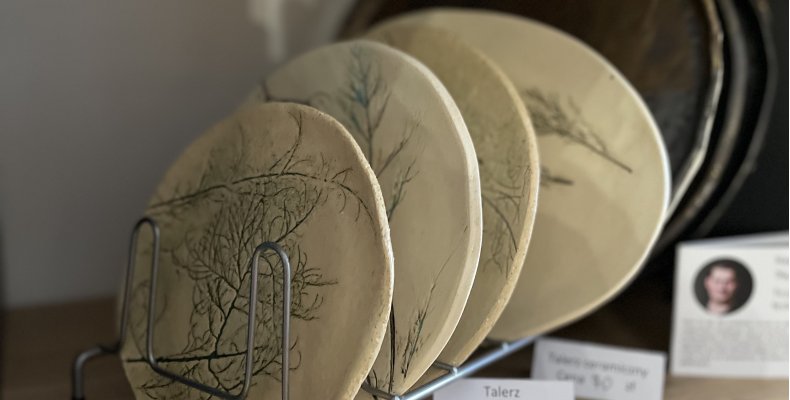 Atrakcje CSR dla firm – dlaczego warto?