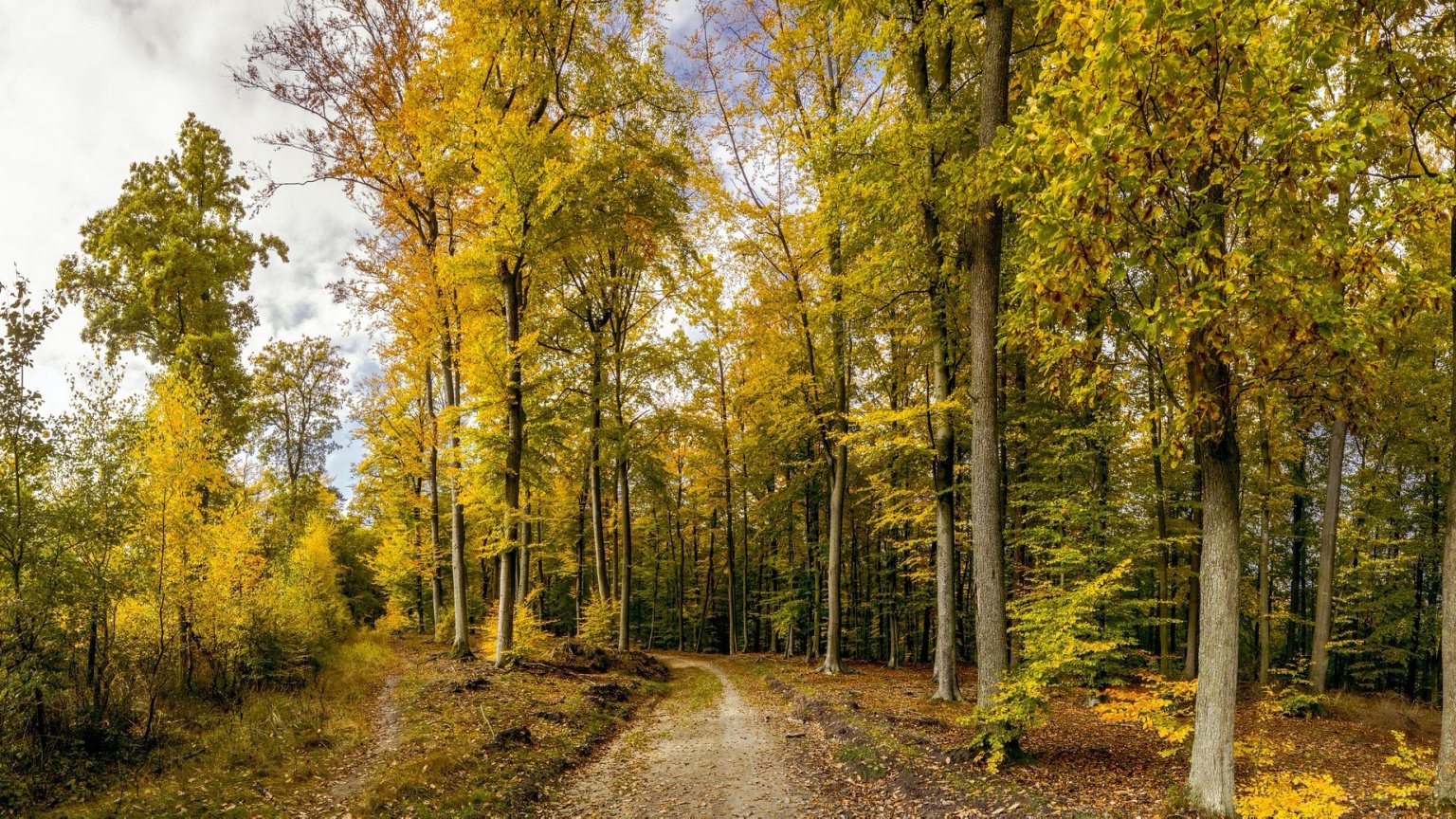 TRICITY LANDSCAPE PARK