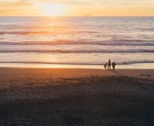 Babie lato w Sopocie