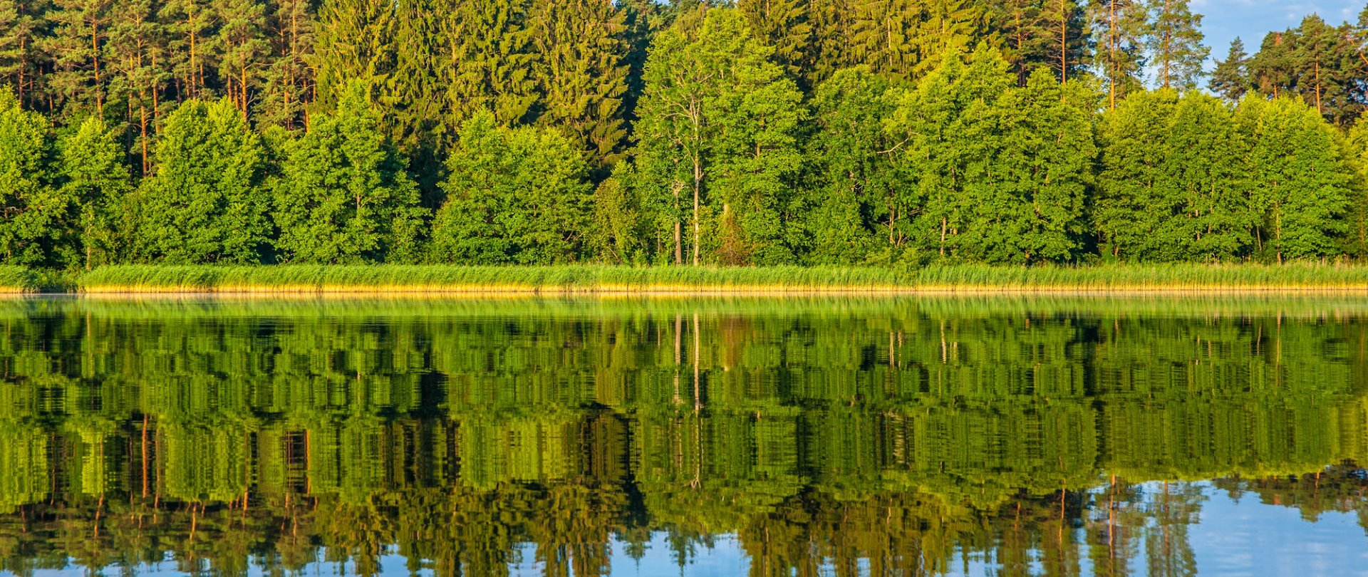 Grupy dorosłych | Resort Niegocin