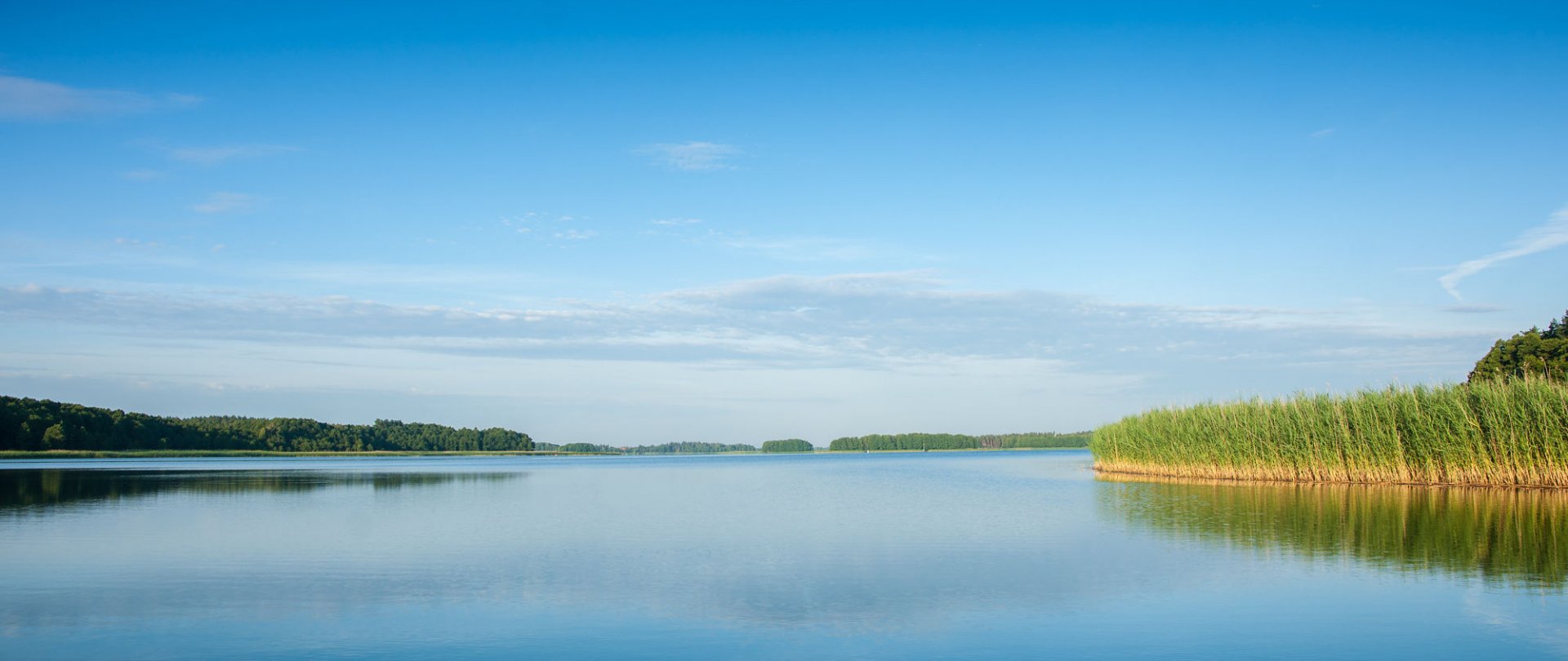 Szkoły i obozy | Resort Niegocin