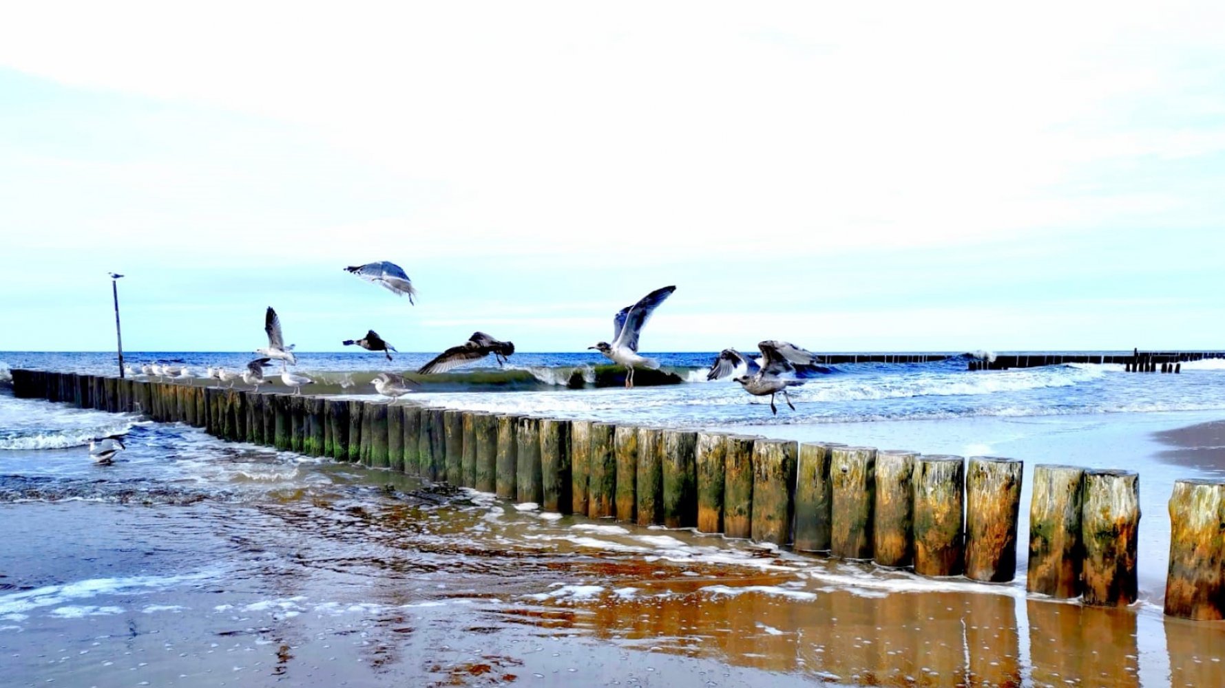 Wpływ Morza Bałtyckiego na zdrowie