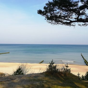 Schöne Zeit für die Familie