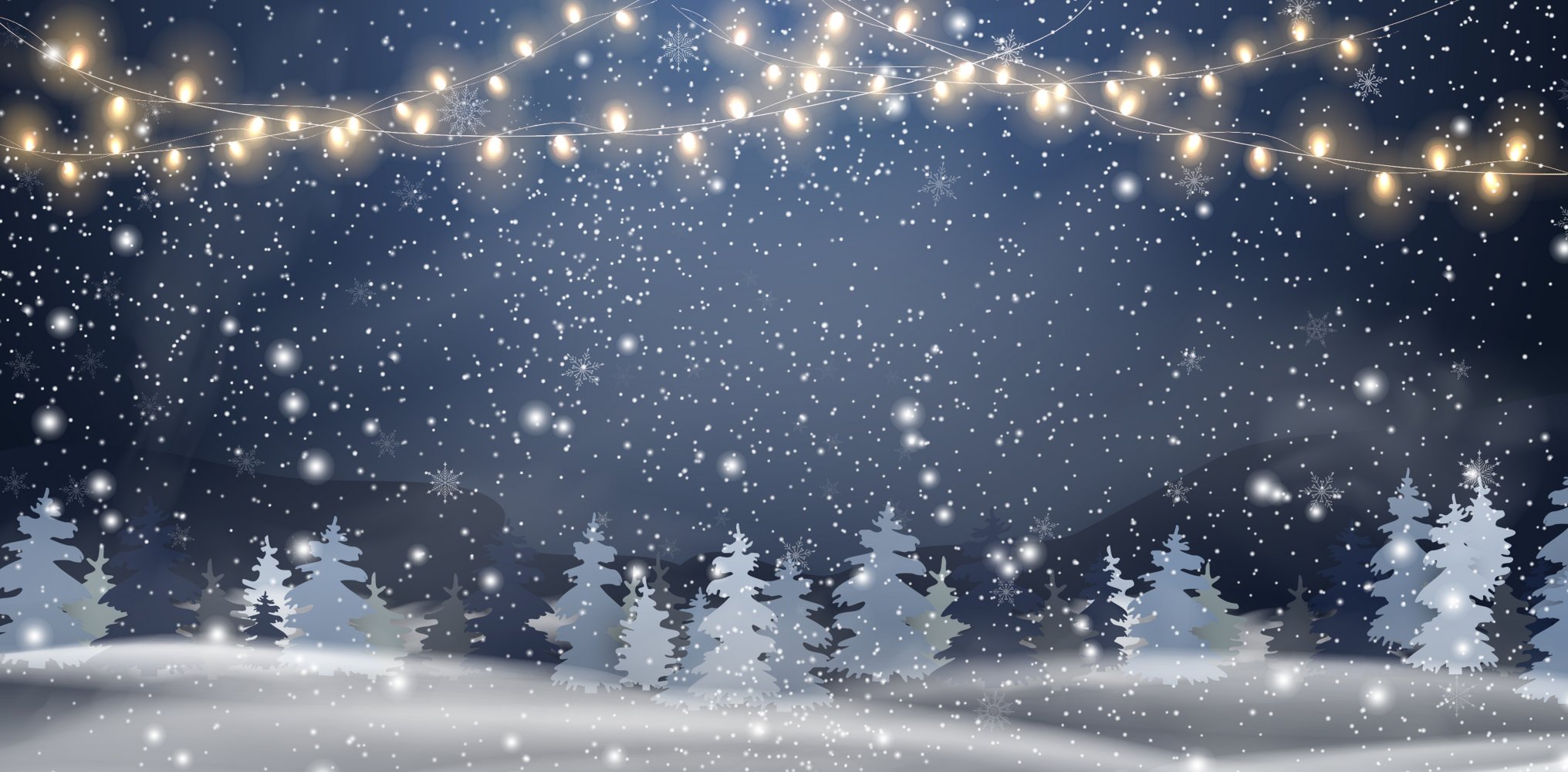 The Bridge to Festive Season 2023/2024