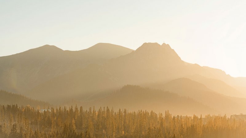 SZKÓŁKA NIEDZIELNA (w każdą niedzielę)