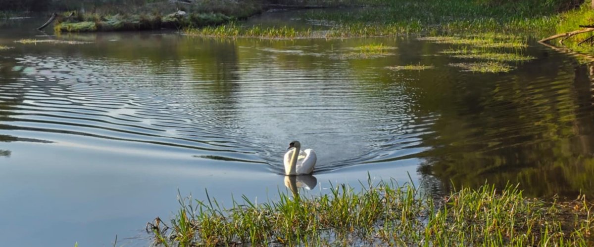 Z miłości do natury – Vislow Resort w sercu NATURA 2000