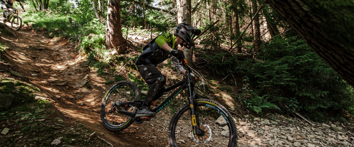 Downhill in the Beskidy Mountains