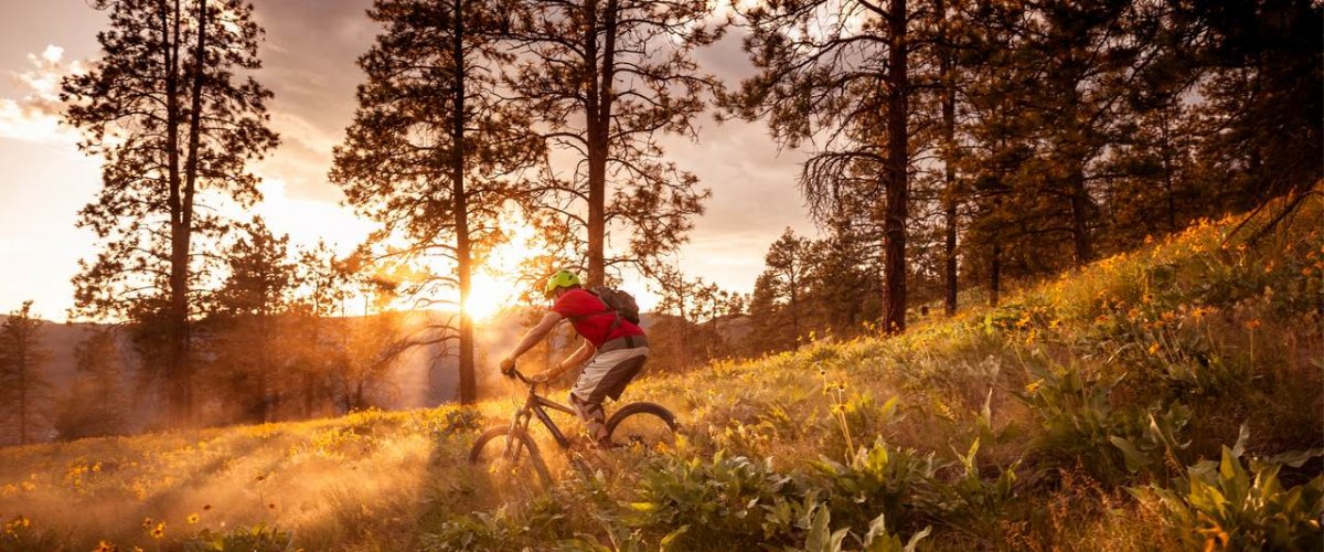 For lovers of 2 wheels