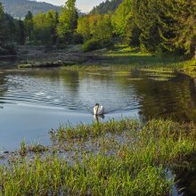 Z miłości do natury – Vislow Resort w sercu NATURA 2000