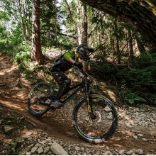 Downhill in the Beskidy Mountains