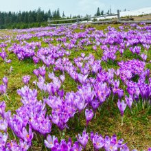 Życzenia świąteczne