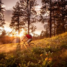 Dla miłośników 2 kółek