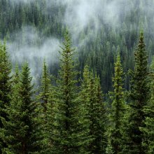 VISLOW - dlaczego #eko i #slow?