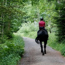 Pferde-Reiten