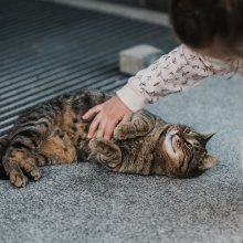 Dzień Dziecka z Agatą Romaniuk - kocia szajka wraca!