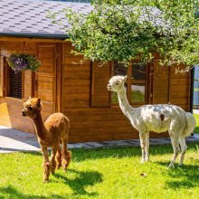 Zagroda Folwarczek – magiczne miejsce dla dzieci w sercu Beskidów