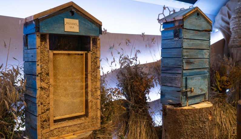 Centrum Edukacji Ekologicznej