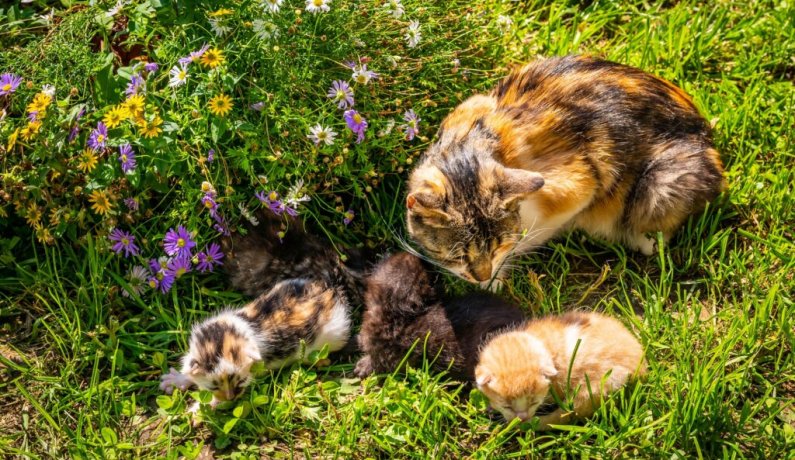 Zagroda Folwarczek – magiczne miejsce dla dzieci w sercu Beskidów