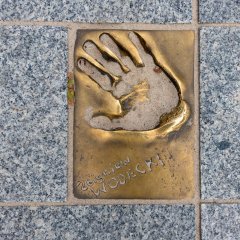 Festiwal i Promenada Gwiazd