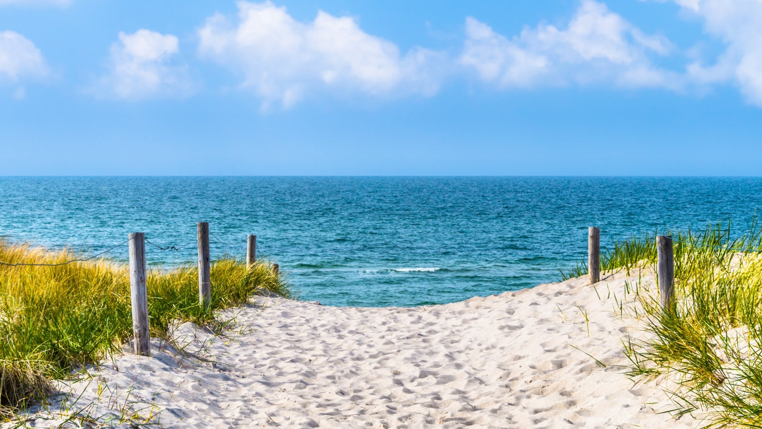 Banner-Hintergrund