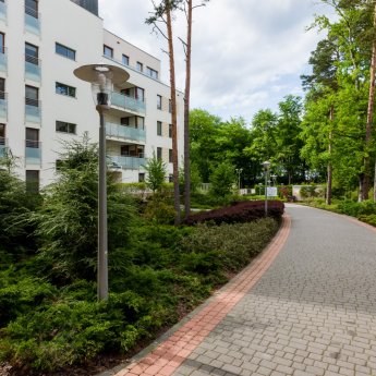 Możliwość zabrania psów