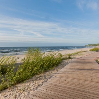 Wszystko, co potrzebne