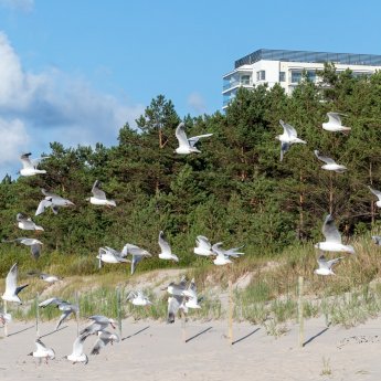Niesamowite położenie