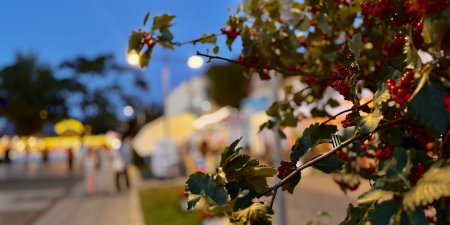 Poznaj Międzyzdroje