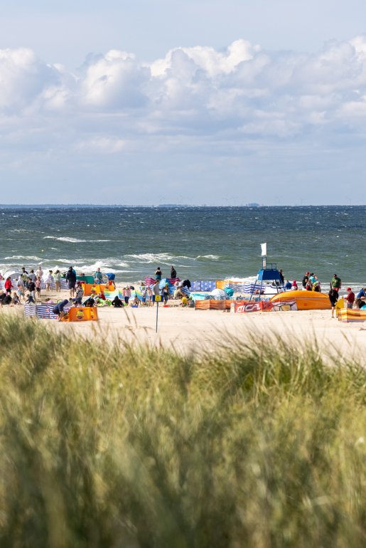 W harmonii z przyrodą